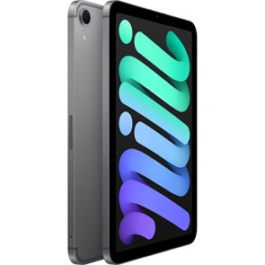 iPad mini 8.3" (2024) Wi-fi + Cellular 128Gb Space Gray, серый космос (MXPN3) MXPN3